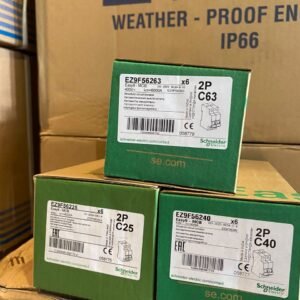 schneider 2 pole mcb