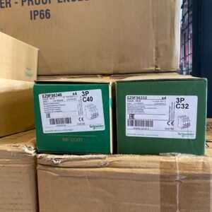 schneider 2 pole mcb