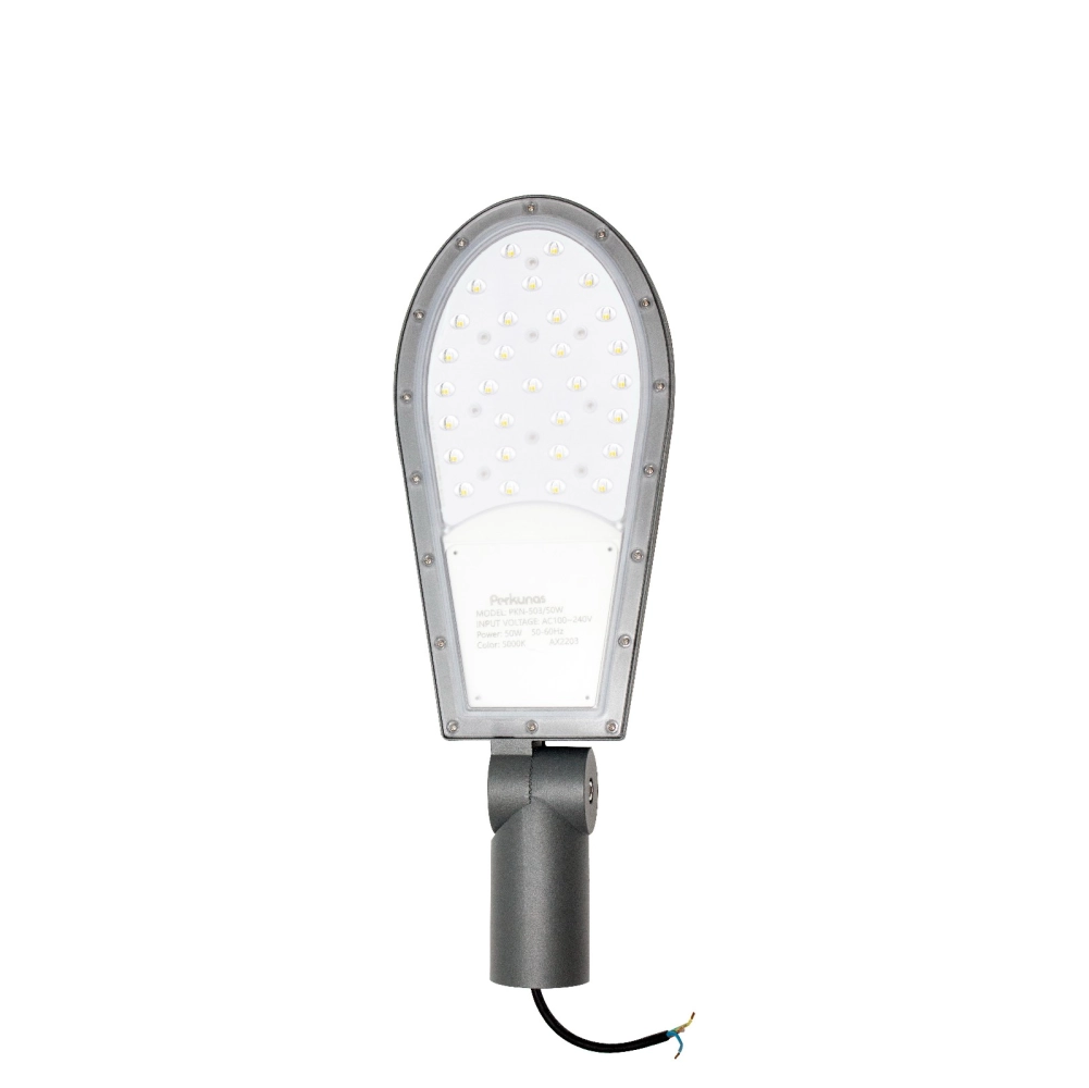 perkunas 100w 3000k led street lantern Perkunas 100W 3000K LED Street Lantern